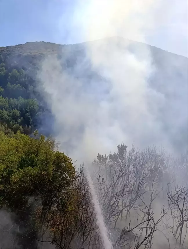 Hatay'da Orman Yangını Kontrol Altına Alındı