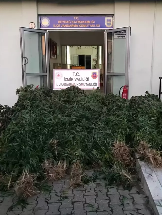 Beydağ'da uyuşturucu operasyonu