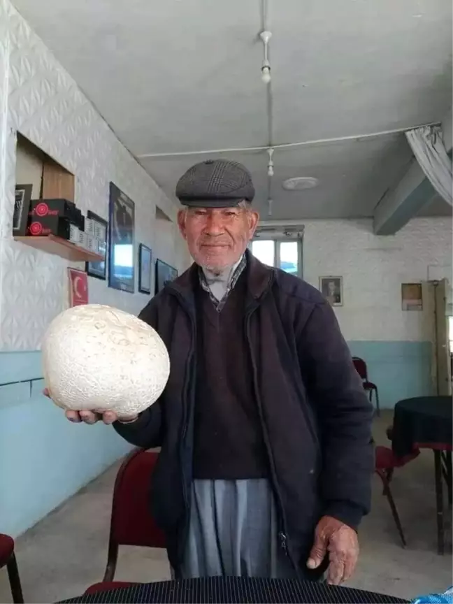 Niğde'de Dev Mantar Görenleri Şaşırttı