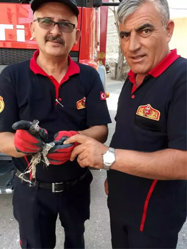 İtfaiye Ekiplerinden Ayağına İp Dolaşan Kırlangıca Yardım Eli