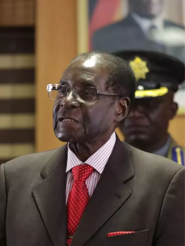 Who, Mugabe'nin İyi Niyet Elçisi Seçilme Kararını İptal Etti