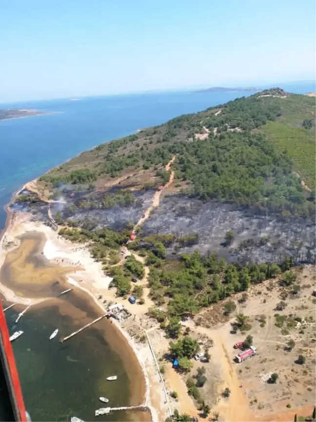 Ayvalık'taki Orman Yangını Söndürüldü
