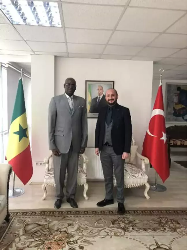 Trimbox Afrika'yı Koruyacak