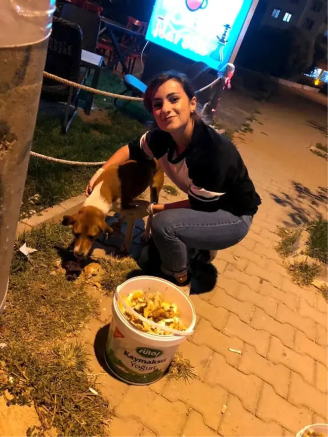 Öğrenciler Sokak Hayvanlarını Elleri ile Besliyor