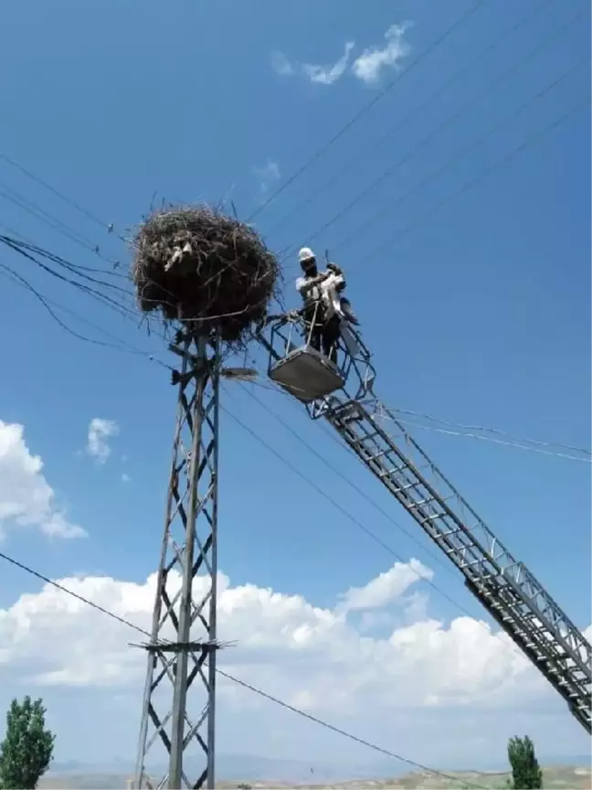Elektrik telinde mahsur kalan yavru leylek kurtarıldı