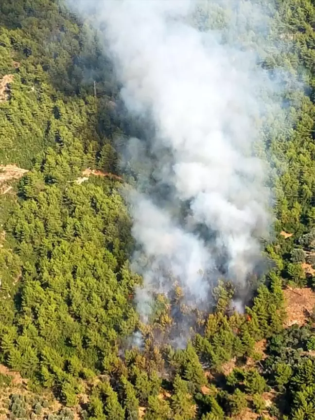 GÜNCELLEME - Muğla'da orman yangını