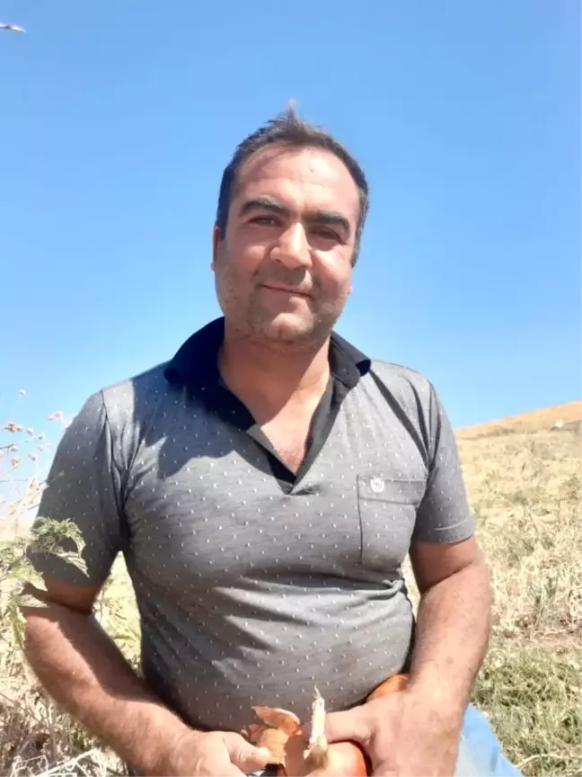 Soğan tarlada 30 kuruş, markette 2 buçuk lira