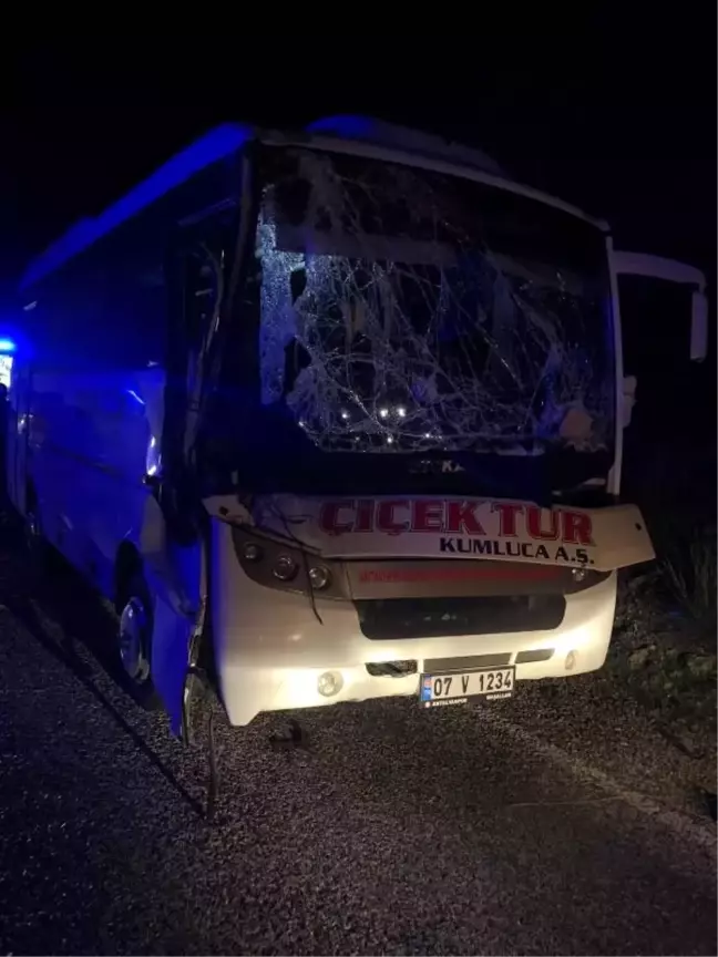 Kemer'de otomobilin çarptığı at öldü, 4 kişi yaralandı