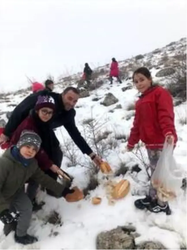 İlkokul öğrencileri doğaya hayvanlar için yem bıraktı