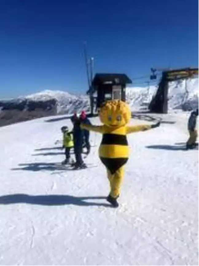 Arı Maya kostümüyle snowbord yapıp, Davraz kayak merkezini tek başına tanıttı