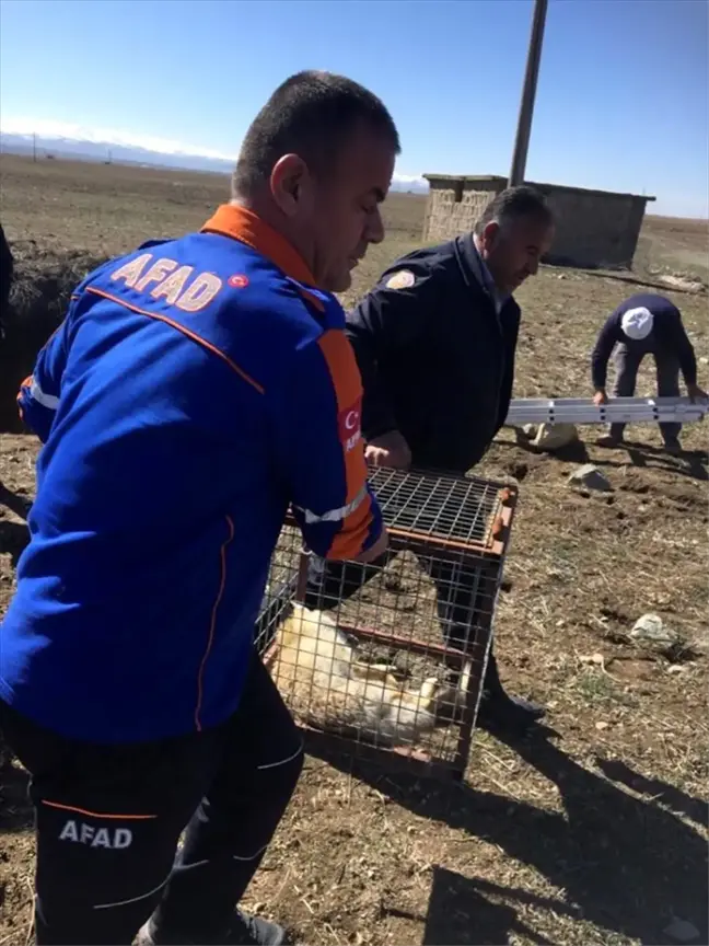 Kuyuya düşen iki tilkiyi AFAD kurtardı