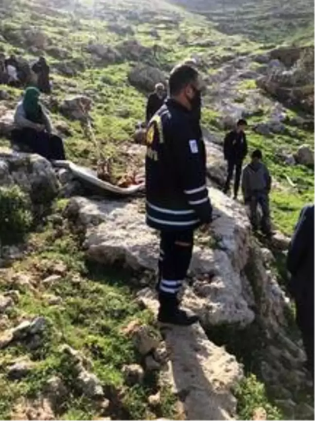 Mardin'de kuyuya düşen at kurtarıldı