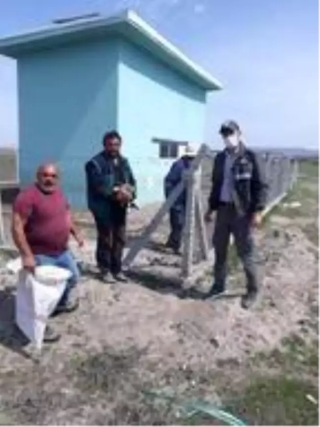 Tellere takılan kızıl şahin kurtarıldı