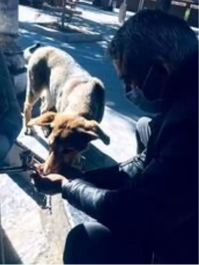 Belediye çalışanından duyarlı davranış