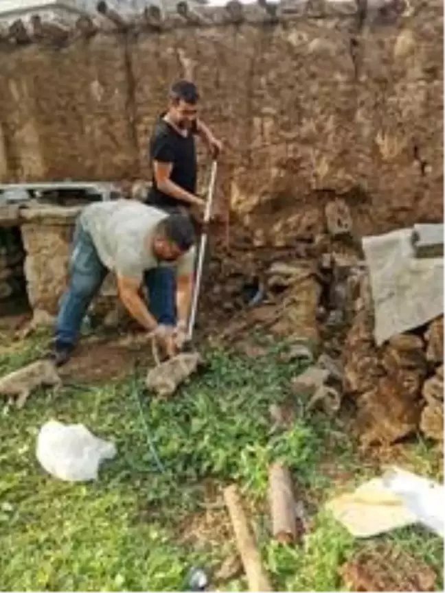 Kuyuya düşen 4 yavru köpek kurtarıldı
