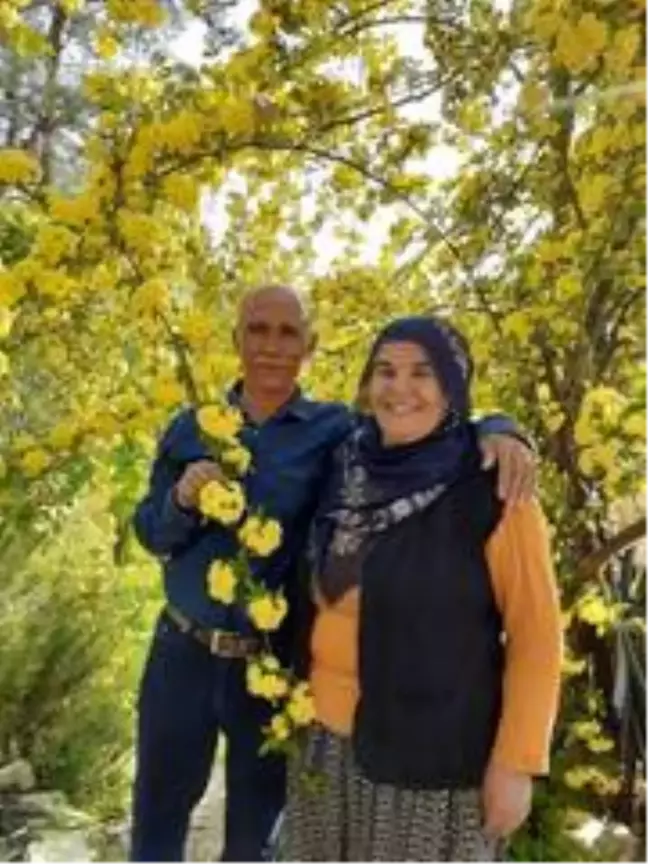 Domuz avında arkadaşını vurdu