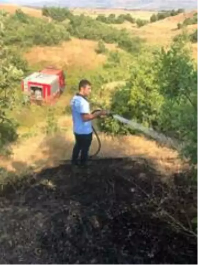 Bingöl'de orman yangını