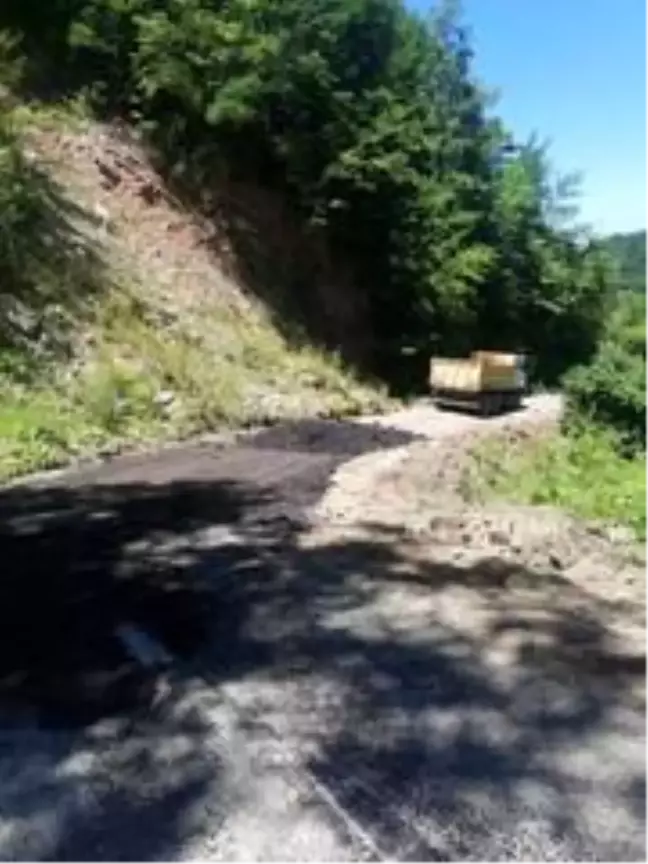 Cide'de heyelan nedeniyle bozulan yollar onarılıyor