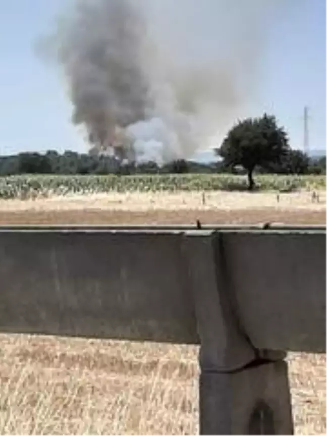Çanakkale'de orman yangını