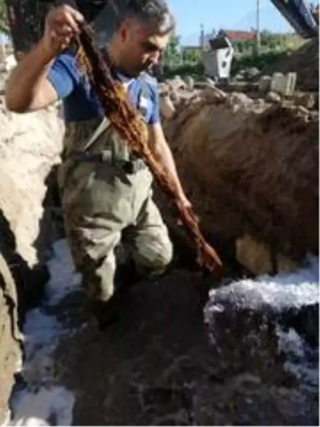 Suların az akmasının sebebi kunduz çıktı