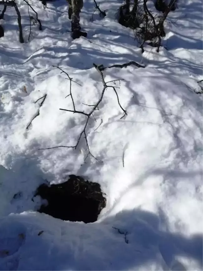 Bitlis'te, teröristlerin kullandığı sığınak tespit edildi