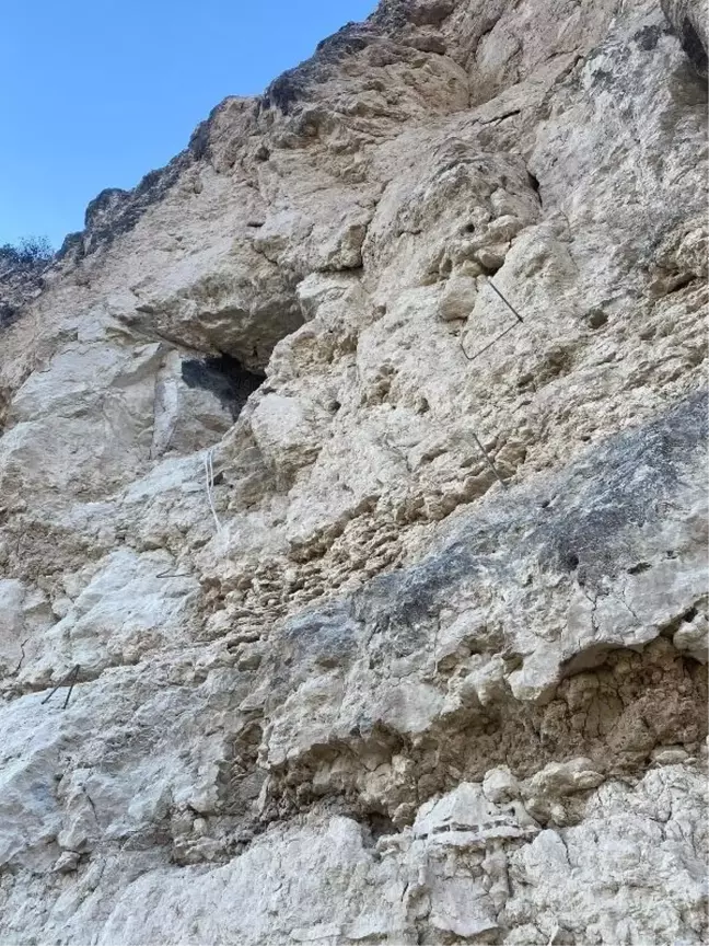 Kaçak kazı yaparken suçüstü yakalanan 2 kişiye gözaltı