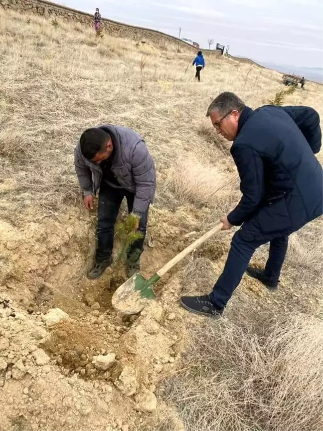 Saraycık Köyü'nde ağaç dikim etkinliği