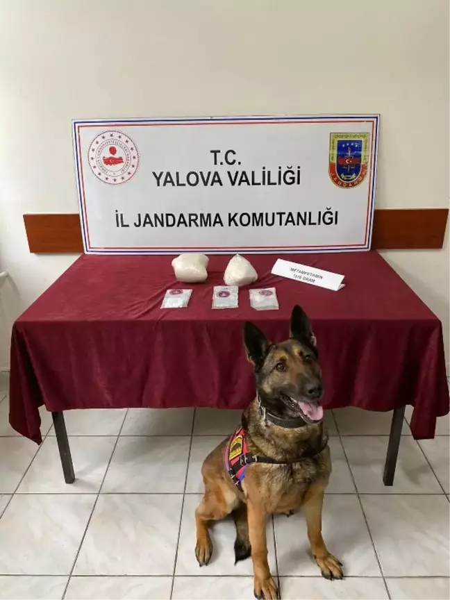 Yalova'da uyuşturucu operasyonu: 5 gözaltı