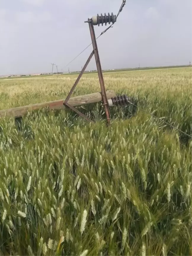 Şanlıurfa'da fırtınanın yıktığı elektrik şebekesi onarılıyor