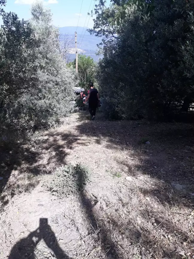 Denizli'de devrilen traktör sürücüsü yaralandı