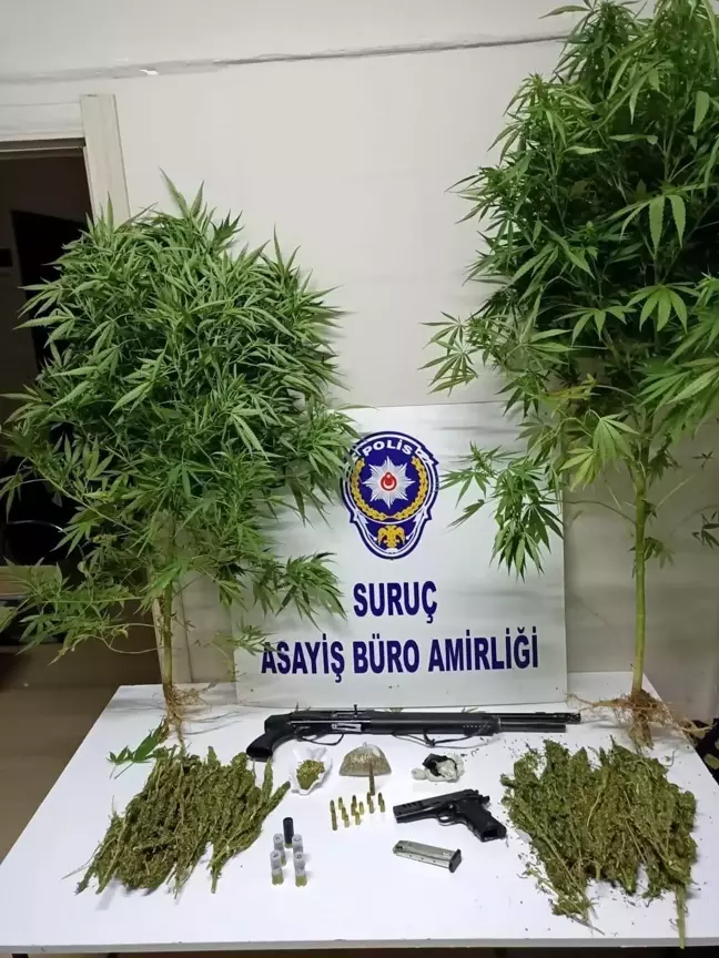 Şanlıurfa'da çok miktarda uyuşturucu madde ve silah ele geçirildi