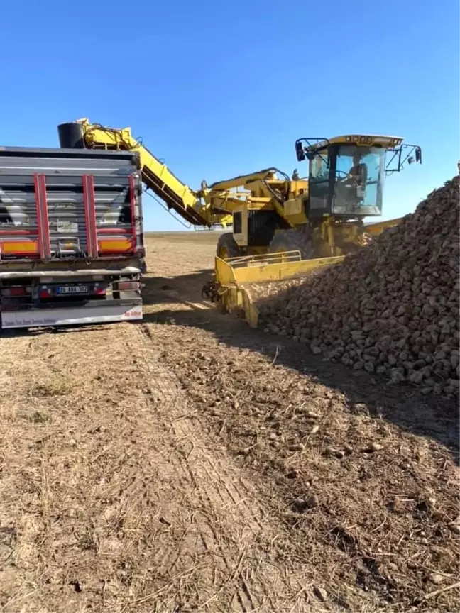 Kulu'da pancar hasadı erken sökümüne başlandı