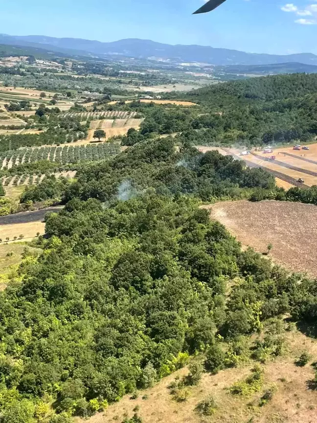 Mustafakemalpaşa'da orman yangını