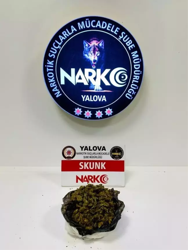 Son dakika haberi! Yalova'da 2 günde 11 zehir taciri tutuklandı