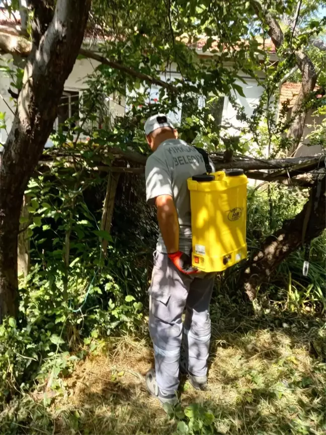 Vize'de sahipsiz hayvan bakım ve rehabilitasyon merkezi yapılacak