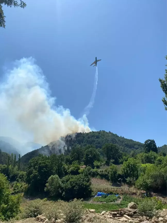 Balıkesir İvrindi'de çıkan orman yangını kontrol altına alındı