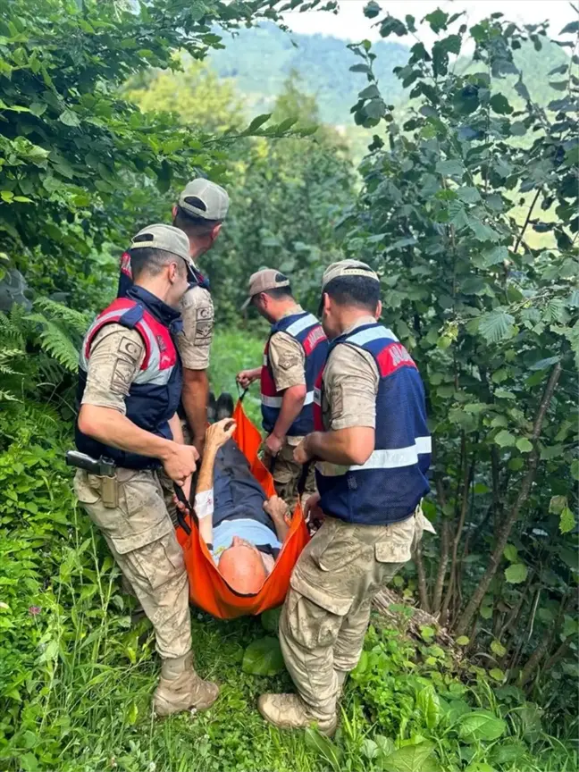 Ordu'da Mantar Zehirlenmesi: Bir Kişi Tedavi Altına Alındı