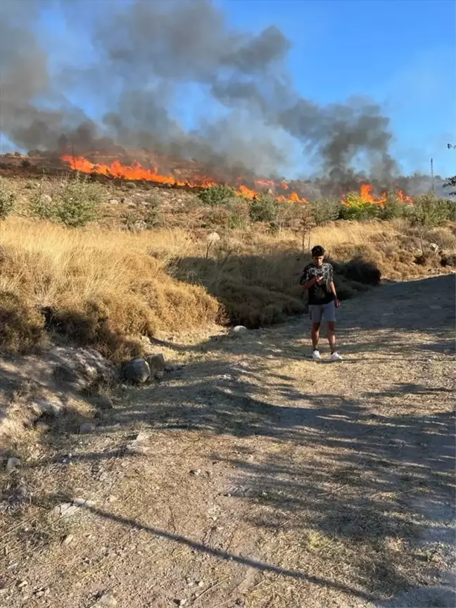 Muğla Bodrum'da Makilik Alanda Yangın Çıktı
