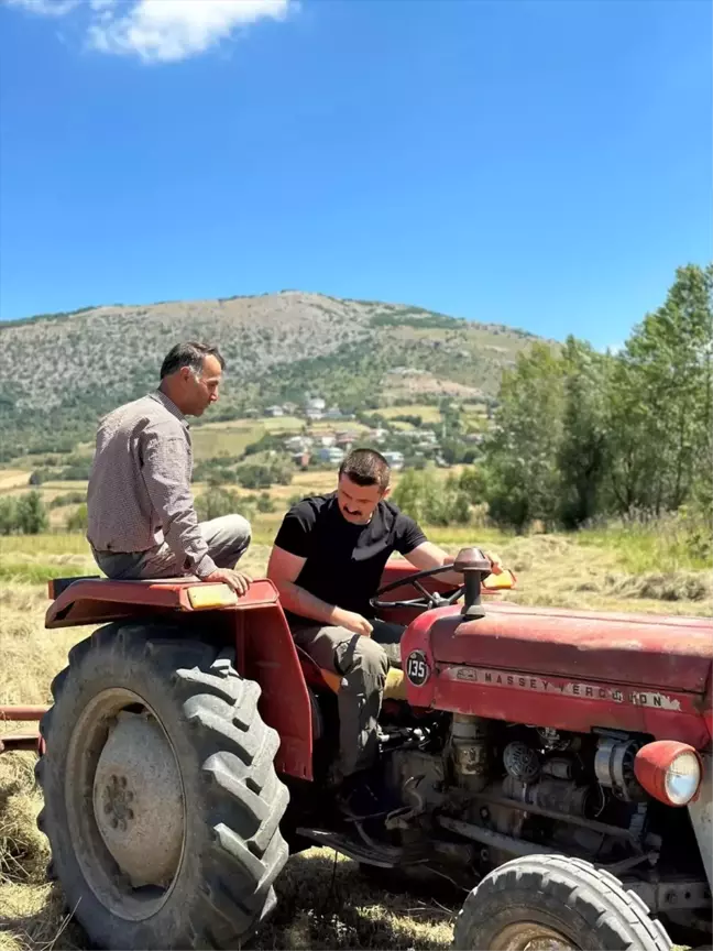 Devrekani Kaymakamı Traktörle Ot Topladı