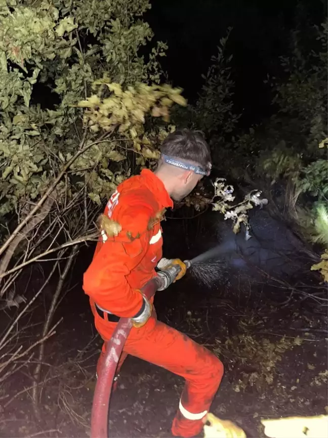 Kastamonu Bozkurt'ta Orman Yangını Söndürüldü