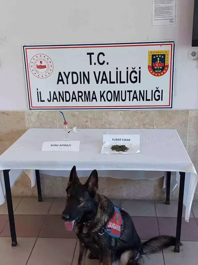 Aydın'ın Nazilli ilçesinde uyuşturucu operasyonu