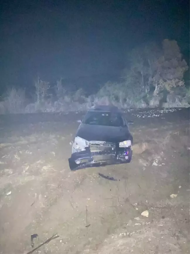 Bolu'da domuza çarpan otomobilin sürücüsü yaralandı