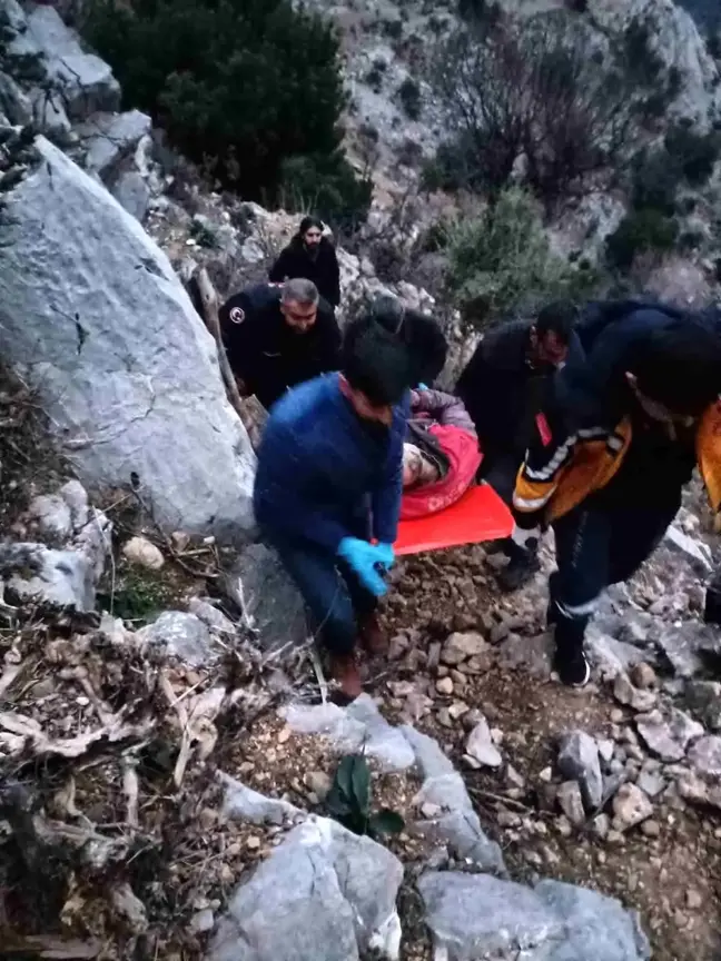 Adana'da Ağaç Keserken Kalp Krizi Geçiren Kişi Hayatını Kaybetti