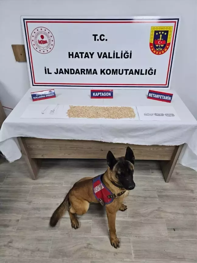 Hatay'da 2 Bin 50 Uyuşturucu Hap Ele Geçirildi