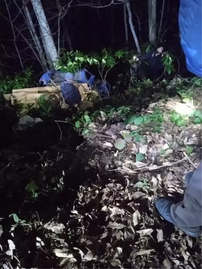 Alaplı'da Tarım Aracı Devrildi: 1 Ölü
