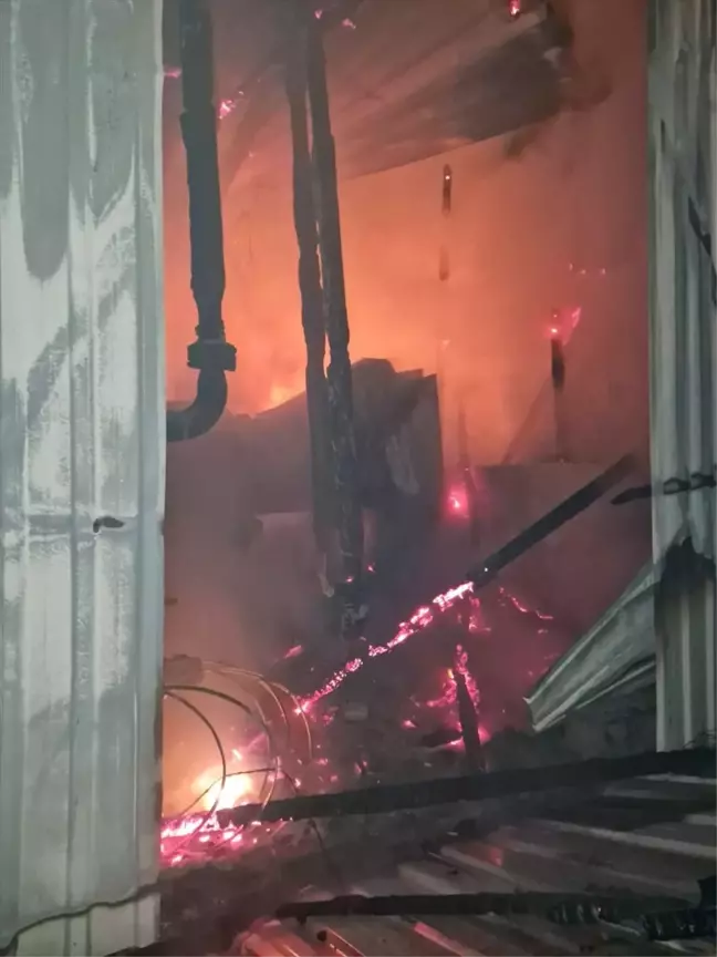 Bolu Mudurnu'da Tavuk Çiftliğinde Yangın
