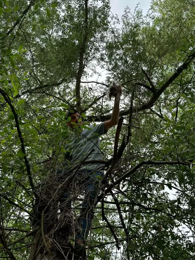 Sakarya Nehri'nde mahsur kalan sincap kurtarıldı