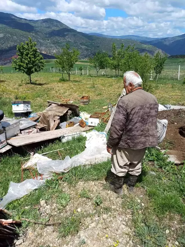Çankırı'da Ayı Arı Kovanlarını Parçaladı