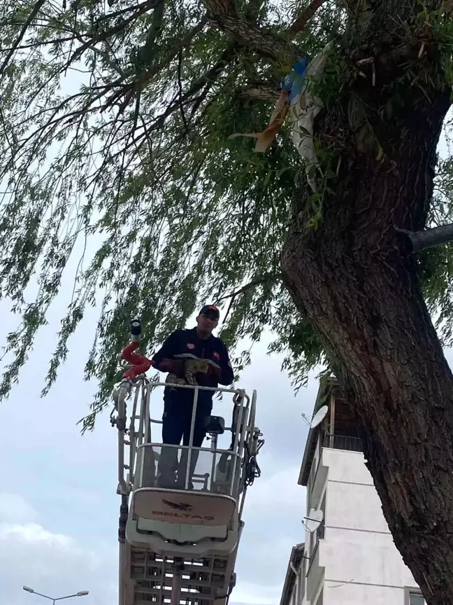 Kayseri'de Mahsur Kalan Kedi İtfaiye Tarafından Kurtarıldı