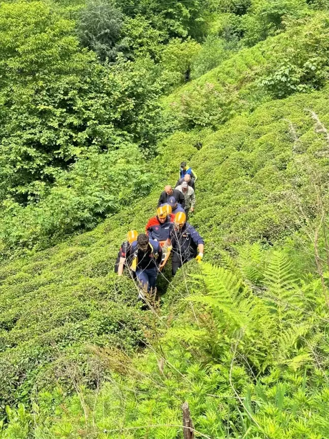 Rize'de ağaç keserken yaralanan kişi tedavi altına alındı